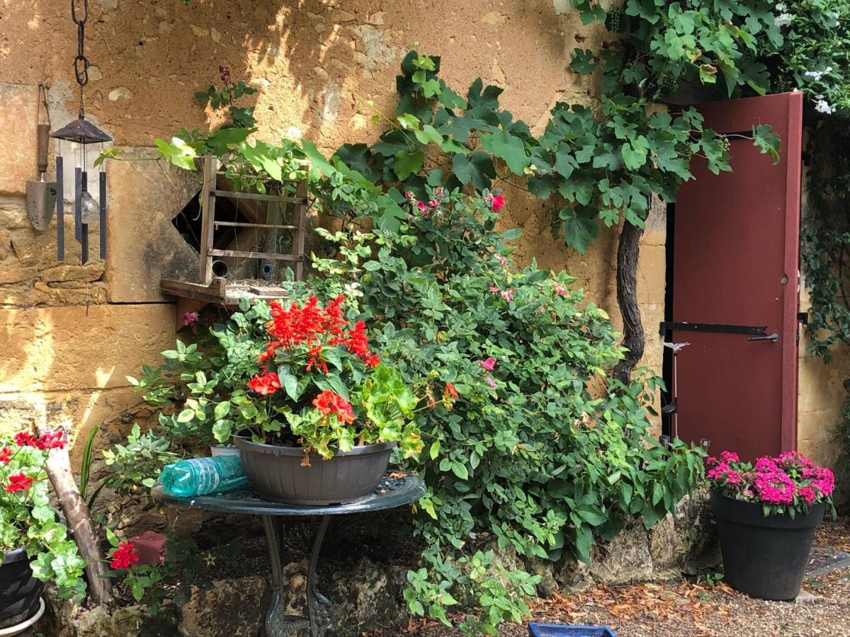 Chambres D'Hotes Les Coustilles Saint-Alvere Экстерьер фото
